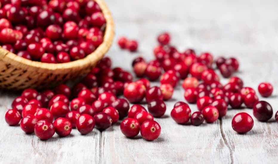 Your Guide to Cranberry for UTI Management