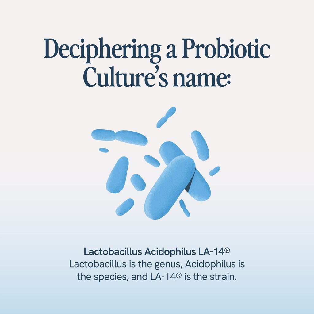 The image explains the parts of a probiotic culture's name using Lactobacillus Acidophilus LA-14® as an example: "Lactobacillus" is the genus, "Acidophilus" is the species, and "LA-14®" is the specific strain.