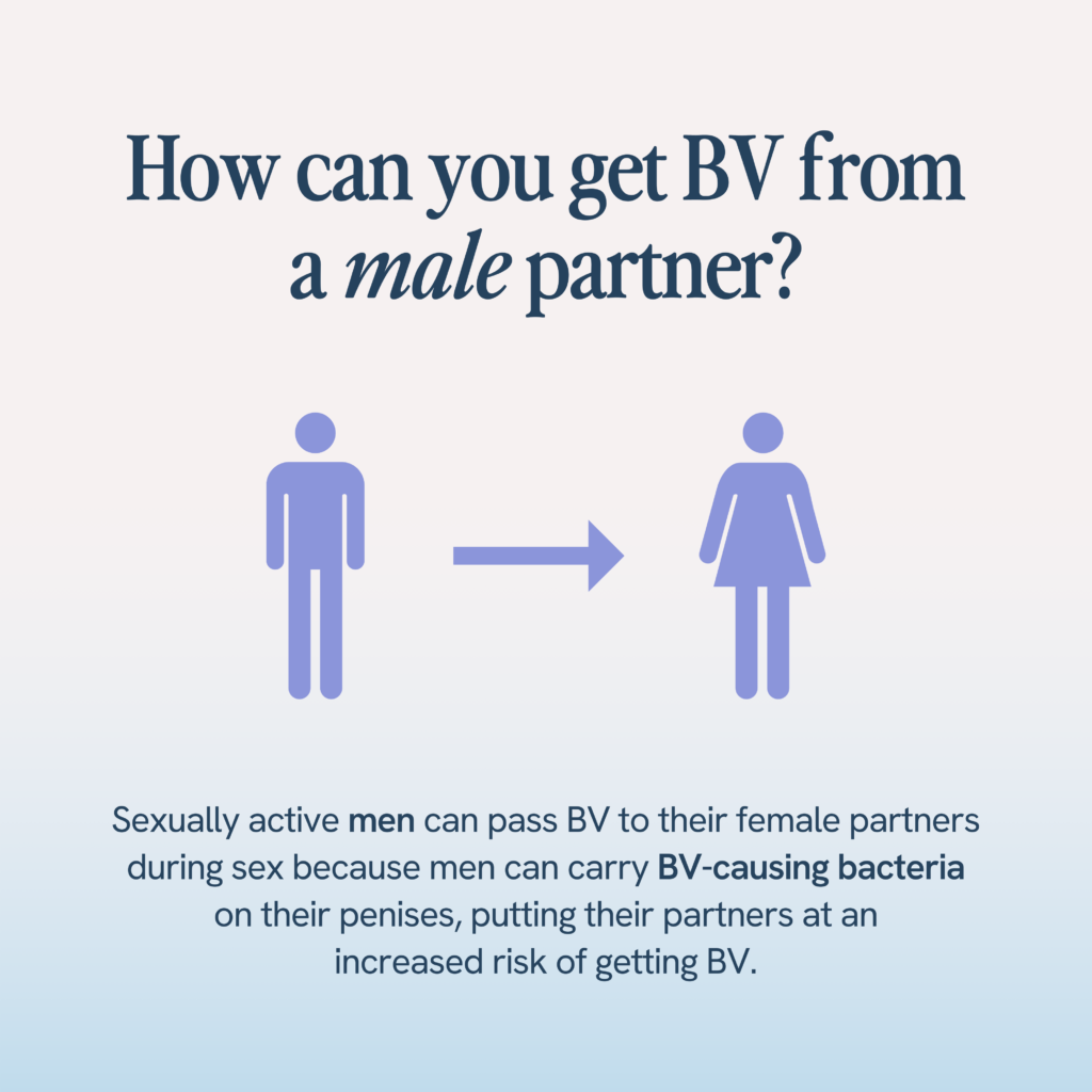 An infographic explaining the transmission of bacterial vaginosis (BV) with icons representing a male and a female figure and an arrow from the male to the female. The text states that men can carry BV-causing bacteria and pass it to female partners during sexual intercourse