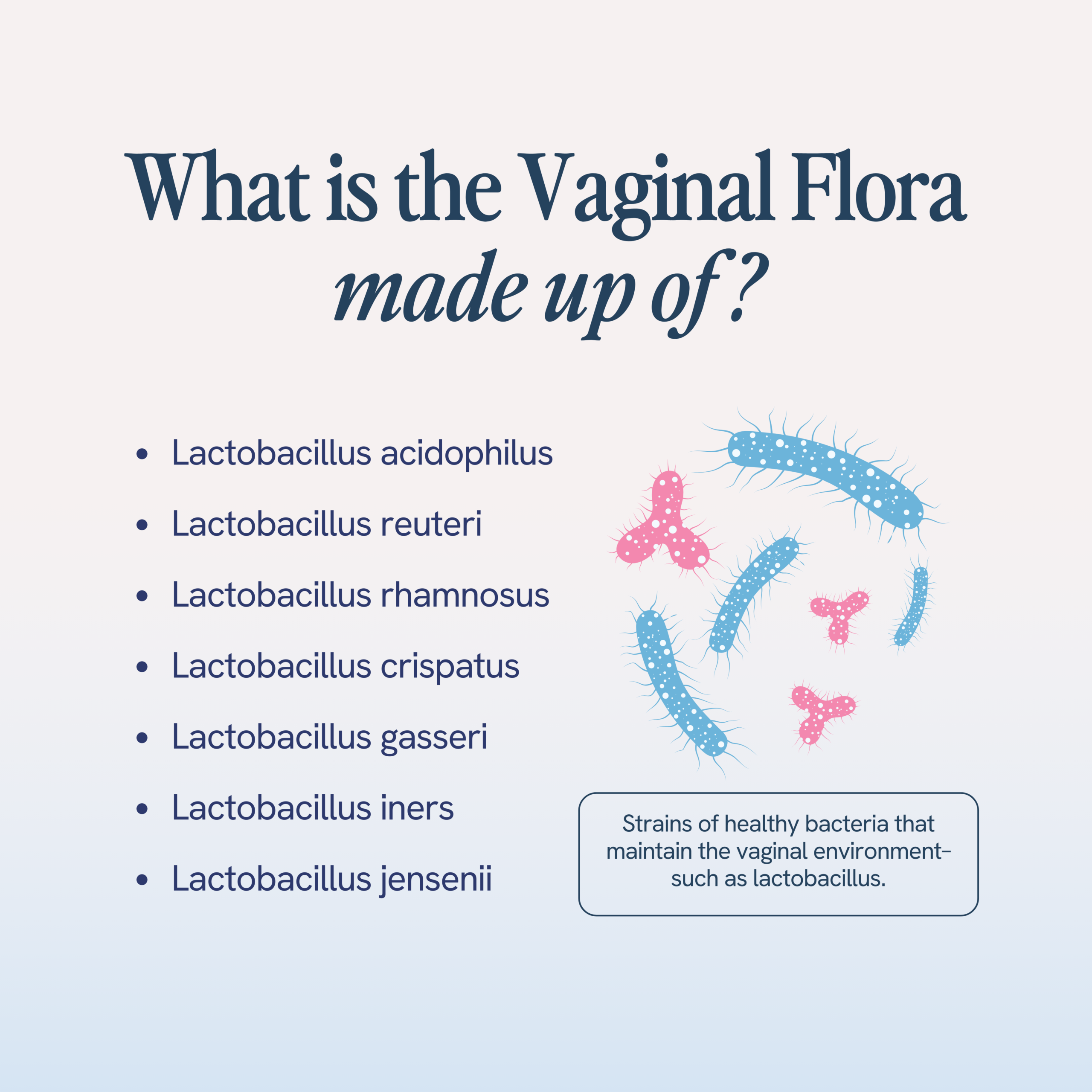 Educational image listing the components of the vaginal flora, including Lactobacillus acidophilus, Lactobacillus reuteri, Lactobacillus rhamnosus, Lactobacillus crispatus, Lactobacillus gasseri, Lactobacillus iners, and Lactobacillus jensenii, with illustrations of healthy bacterial strains.