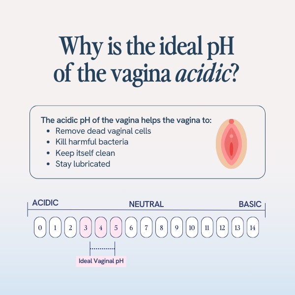 This image is an informational graphic detailing the reasons for the vagina's ideal acidic pH level. It includes a simplified pH scale with highlighted range for ideal vaginal pH. Text explains that this acidity helps with the removal of dead cells, killing harmful bacteria, maintaining cleanliness, and ensuring lubrication