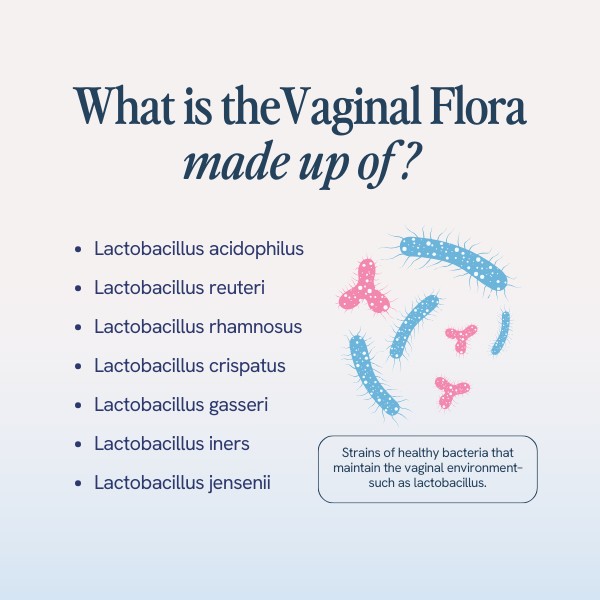 The image lists components of the vaginal flora, such as various Lactobacillus strains, and includes a graphic of bacteria to represent these beneficial organisms.