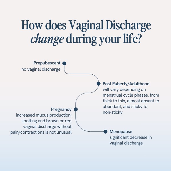 The image illustrates the changes in vaginal discharge throughout life, from no discharge in prepubescence, to variations during menstrual cycles in adulthood, increased mucus during pregnancy, and a decrease at menopause.






