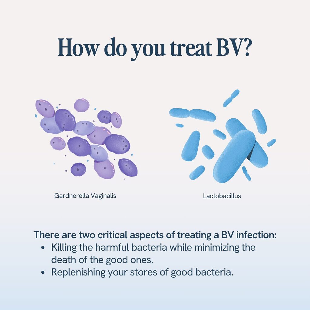 educational illustration about treating Bacterial Vaginosis (BV). It shows contrasting images of the bacteria Gardnerella vaginalis, which can cause BV, and Lactobacillus, which is beneficial. The text explains that treatment involves eliminating harmful bacteria while preserving beneficial bacteria, and restoring the body's beneficial bacterial balance.