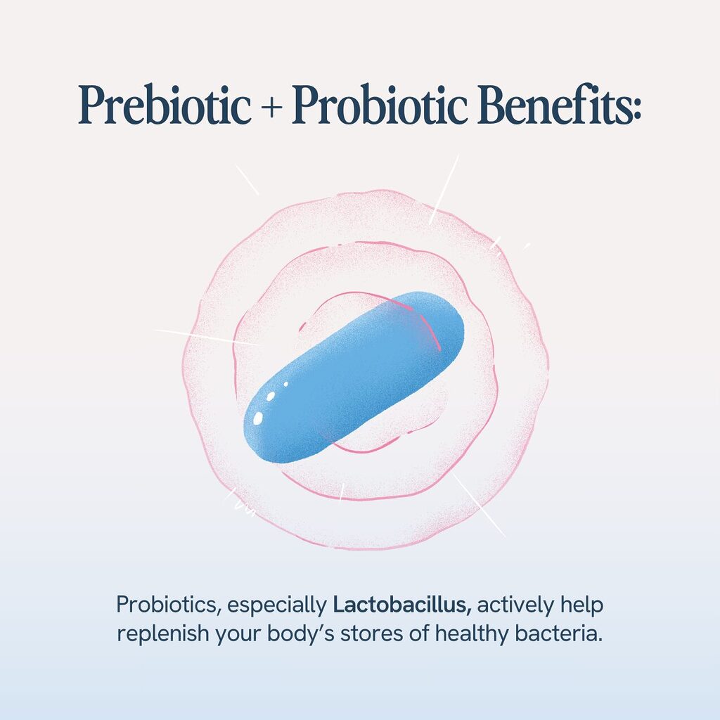 The image features a capsule representing prebiotics and probiotics, specifically highlighting the benefits of Lactobacillus in replenishing healthy bacteria in the body.






