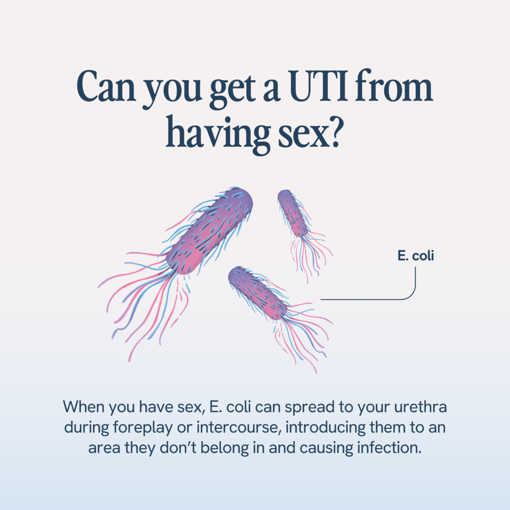 Sexual activity can lead to UTIs as E. coli bacteria from foreplay or intercourse may spread to the urethra, leading to infection.