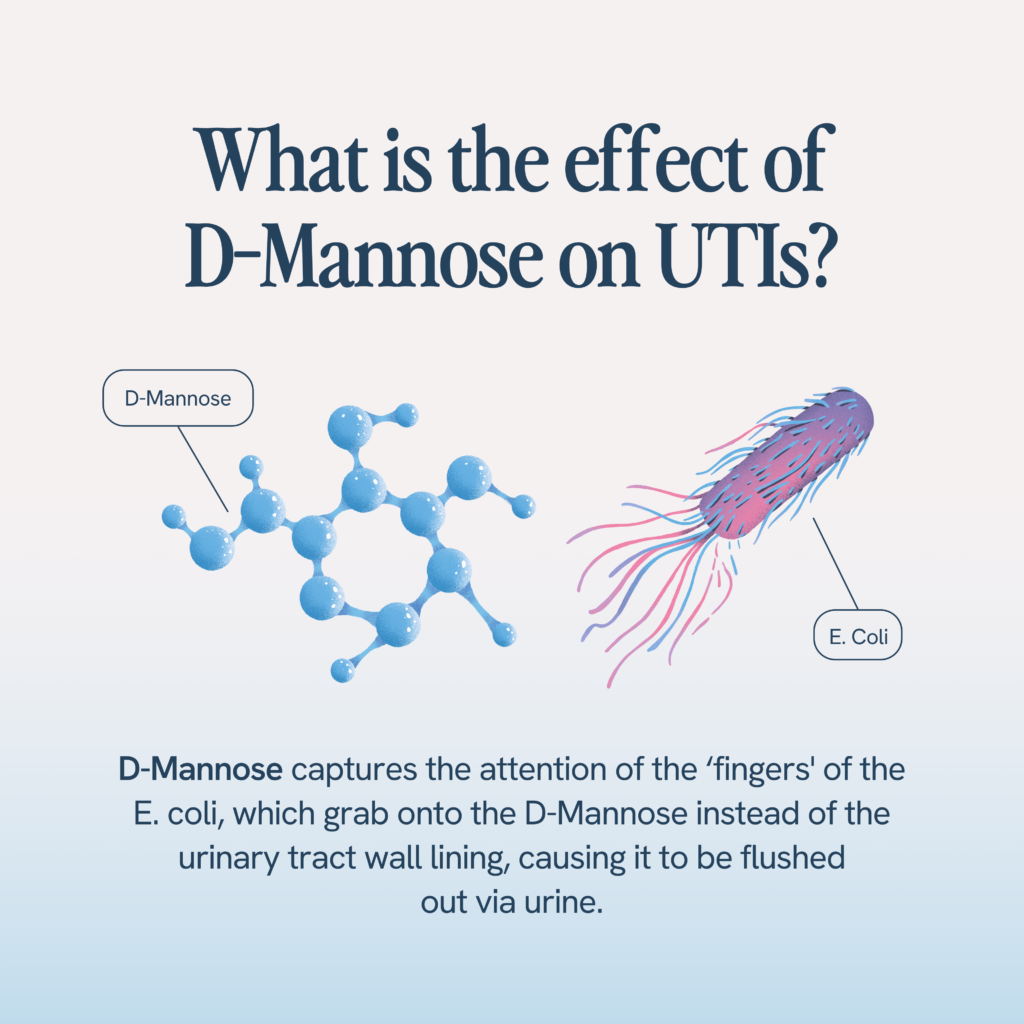 The image displays a title "What is the effect of D-Mannose on UTIs?" with a molecular structure labeled as D-Mannose and an illustration of an E. coli bacterium. The accompanying text explains that D-Mannose captures the attention of E. coli 'fingers,' which cling to the D-Mannose instead of the urinary tract wall lining, leading to their elimination through urine.