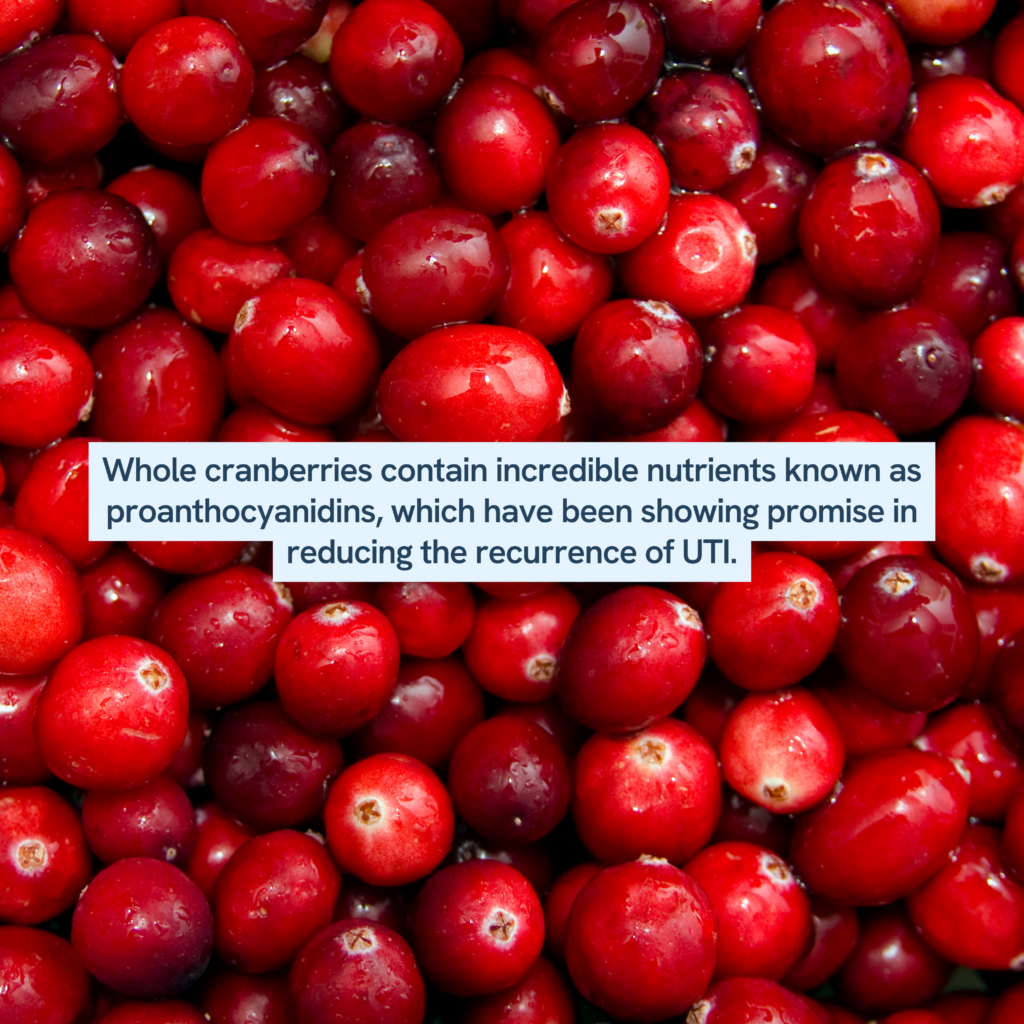 close-up of whole cranberries. The accompanying text mentions the nutritional benefits of cranberries, specifically their content of proanthocyanidins, which are nutrients known to potentially reduce the recurrence of urinary tract infections (UTIs).