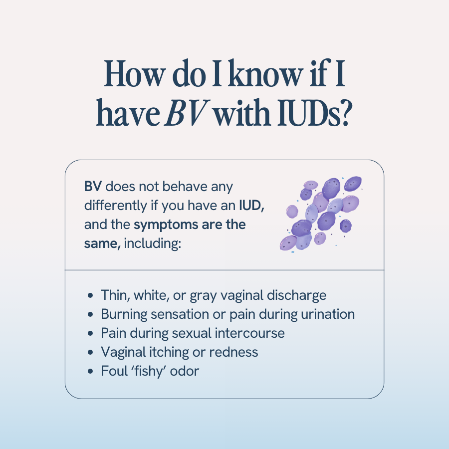 The image is a visual guide on how to recognize Bacterial Vaginosis (BV) in individuals with IUDs. It clarifies that BV symptoms do not change due to the presence of an IUD. Symptoms listed include thin, white, or gray vaginal discharge, burning sensation or pain during urination, pain during sexual intercourse, vaginal itching or redness, and a foul 'fishy' odor. The graphic includes an inset of clustered purple bacteria to visually represent BV.