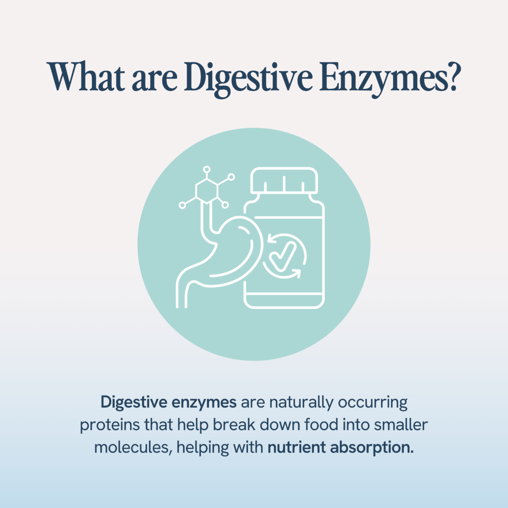an icon representing the stomach and digestive tract, next to a bottle of pills, symbolizing digestive enzymes. The accompanying text defines digestive enzymes as naturally occurring proteins that help break down food into smaller molecules, aiding in nutrient absorption.