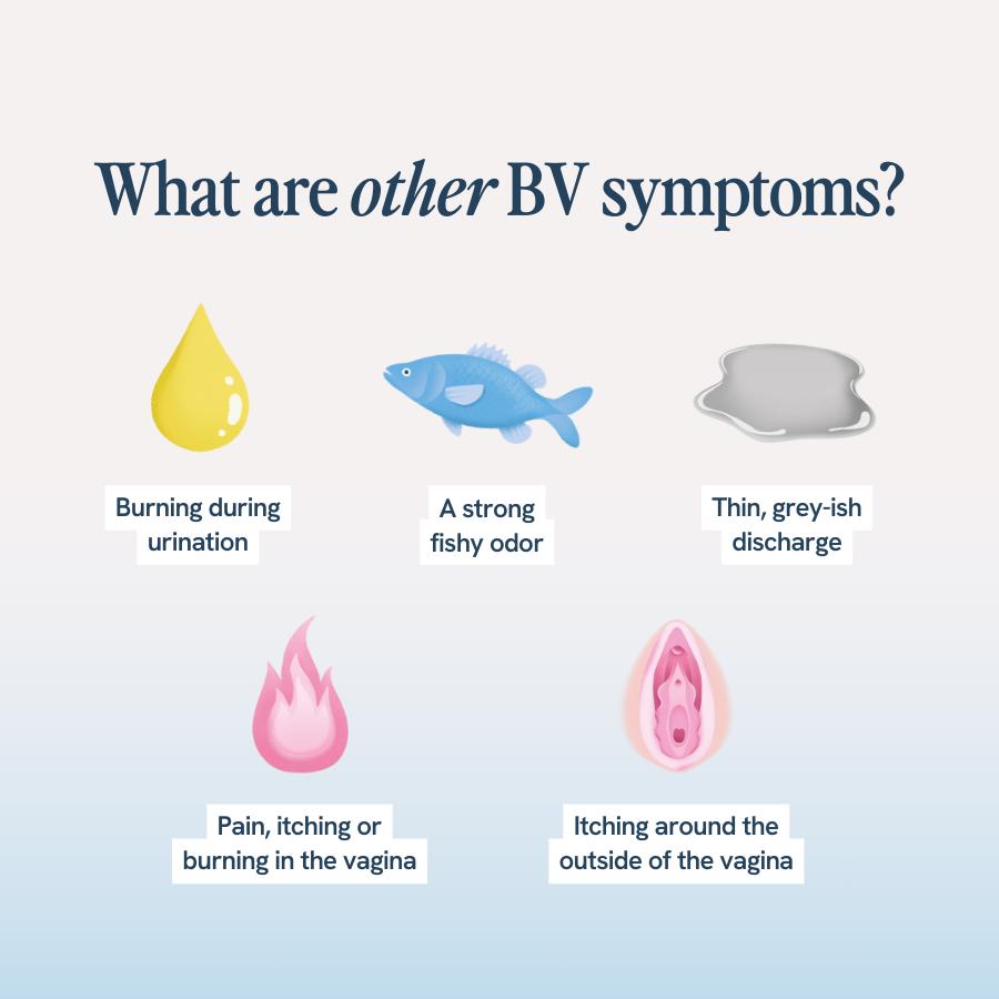 The image visually compares cramps associated with bacterial vaginosis (BV) and menstrual cramps. It features two columns, each with an icon and corresponding descriptions. The left column has a cluster of purple bacteria representing BV and describes these cramps as dull and persistent, not correlated with any menstrual cycle phase. The right column shows a red droplet symbolizing menstruation, describing these cramps as throbbing pain in the lower abdomen, with intensity varying across the menstrual cycle, peaking at the start of the period. The title, “Are my cramps associated with BV?” spans the top of the image.