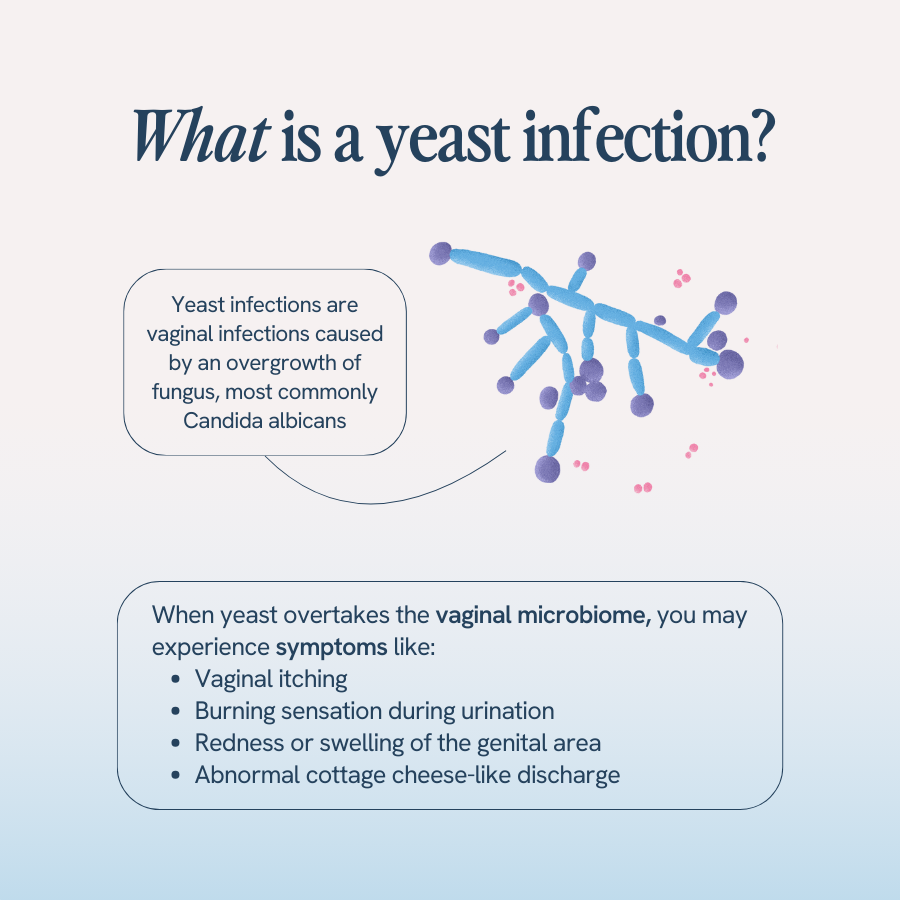 An image with the title ‘What is a yeast infection?’ shows an illustration of yeast cells and explains that yeast infections are vaginal infections caused by an overgrowth of fungus, most commonly Candida albicans. Symptoms include vaginal itching, burning sensation during urination, redness or swelling of the genital area, and abnormal cottage cheese-like discharge.