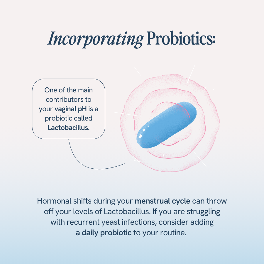 An image with the title ‘Incorporating Probiotics’ shows a probiotic capsule and explains that one of the main contributors to vaginal pH is a probiotic called Lactobacillus. It notes that hormonal shifts during the menstrual cycle can affect Lactobacillus levels, and suggests that adding a daily probiotic to your routine can help if you are struggling with recurrent yeast infections.