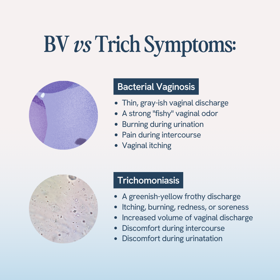 The image shows a comparative list of symptoms for Bacterial Vaginosis (BV) and Trichomoniasis. For BV, symptoms include thin, gray-ish vaginal discharge, a strong "fishy" odor, burning during urination, pain during intercourse, and vaginal itching. For Trichomoniasis, symptoms listed are a greenish-yellow frothy discharge, itching, burning, redness, or soreness, increased volume of vaginal discharge, discomfort during intercourse, and discomfort during urination. The symptoms for each condition are visually distinguished by corresponding colored dots.