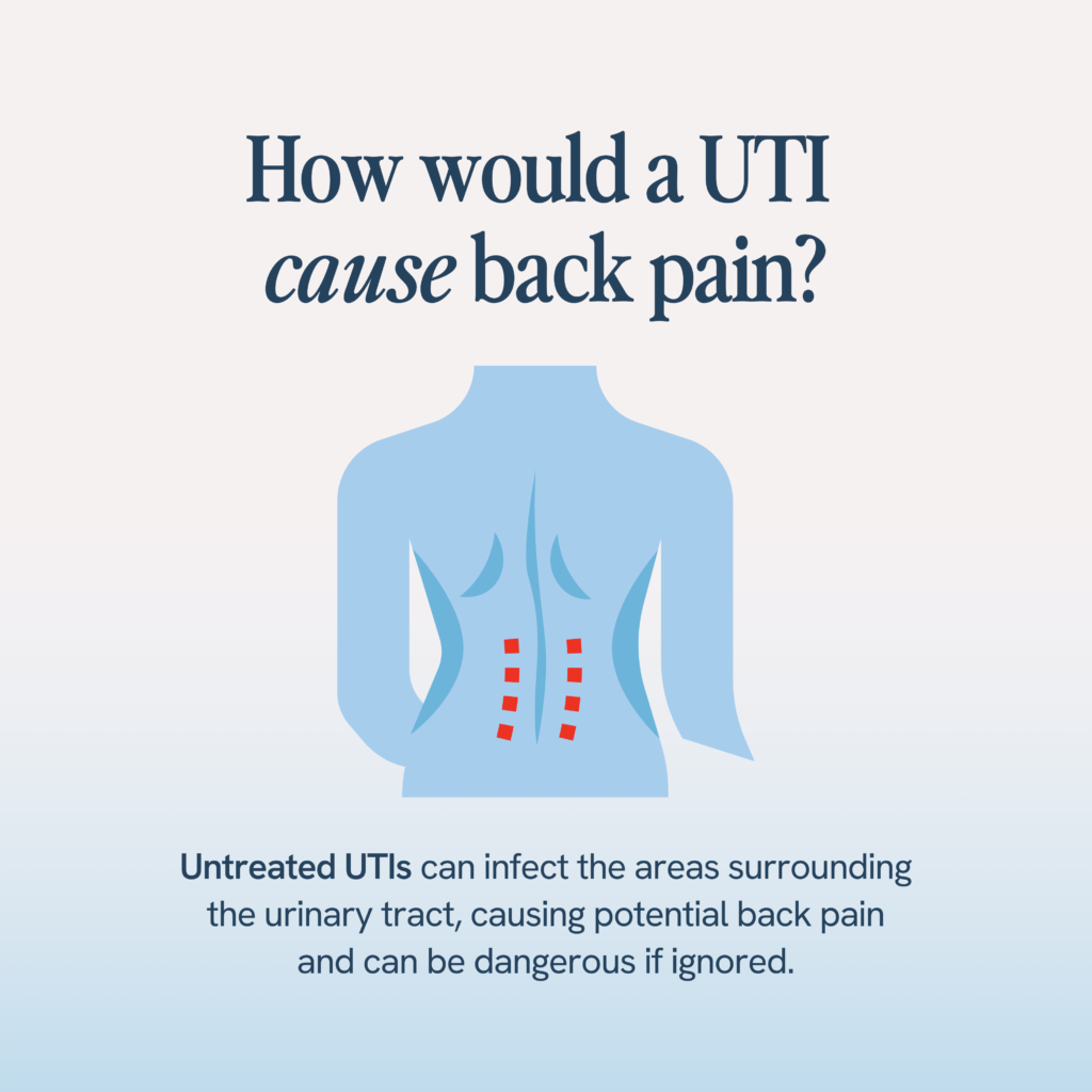 The image shows an illustrated diagram of a human back in blue, highlighting the kidney areas with red marks on both sides of the lower back. The text explains that untreated urinary tract infections (UTIs) can lead to infection in the areas surrounding the urinary tract, potentially causing back pain. This highlights the importance of not ignoring UTI symptoms, as they can lead to more serious conditions.