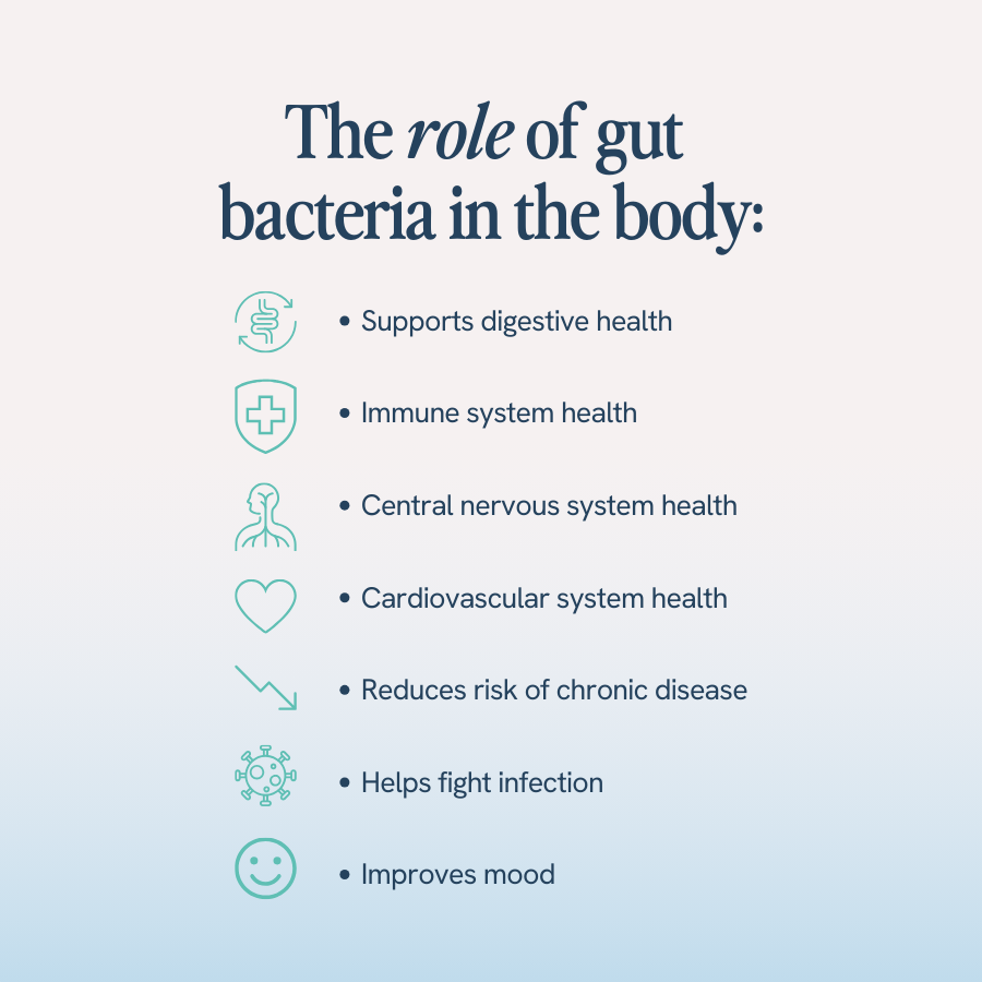 An image with the title ‘The role of gut bacteria in the body’ lists various benefits of gut bacteria: supports digestive health, immune system health, central nervous system health, cardiovascular system health, reduces the risk of chronic disease, helps fight infection, and improves mood.