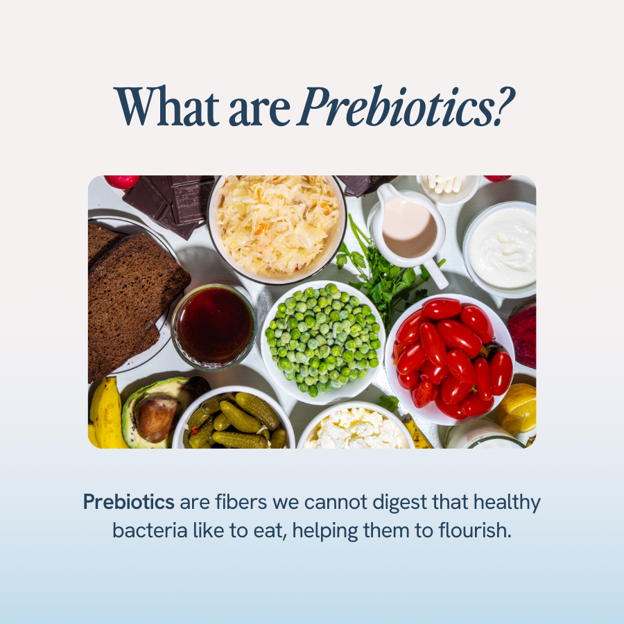 An image with the title ‘What are Prebiotics?’ shows various foods and explains that prebiotics are fibers we cannot digest that healthy bacteria like to eat, helping them to flourish.
