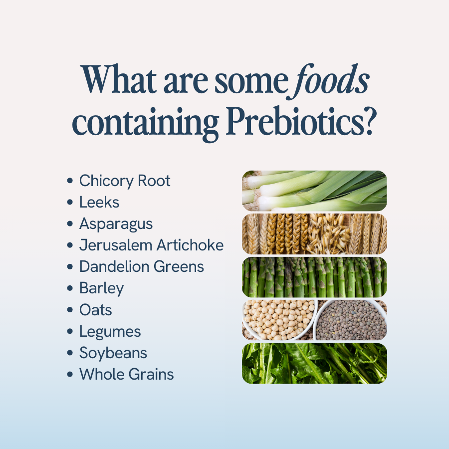 An image with the title ‘What are some foods containing Prebiotics?’ lists several foods and shows pictures of them. The listed foods include: chicory root, leeks, asparagus, Jerusalem artichoke, dandelion greens, barley, oats, legumes, soybeans, and whole grains.