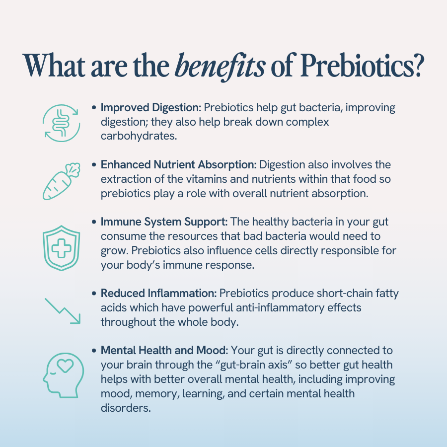 An image with the title ‘What are the benefits of Prebiotics?’ lists several benefits and includes corresponding icons. The benefits include:

Improved Digestion: Prebiotics help gut bacteria, improving digestion and breaking down complex carbohydrates.
Enhanced Nutrient Absorption: Prebiotics aid in extracting vitamins and nutrients from food, playing a role in overall nutrient absorption.
Immune System Support: Prebiotics help healthy gut bacteria consume resources that bad bacteria need to grow, and influence immune response cells.
Reduced Inflammation: Prebiotics produce short-chain fatty acids with powerful anti-inflammatory effects throughout the body.
Mental Health and Mood: Better gut health improves overall mental health, mood, memory, learning, and can help with certain mental health disorders.