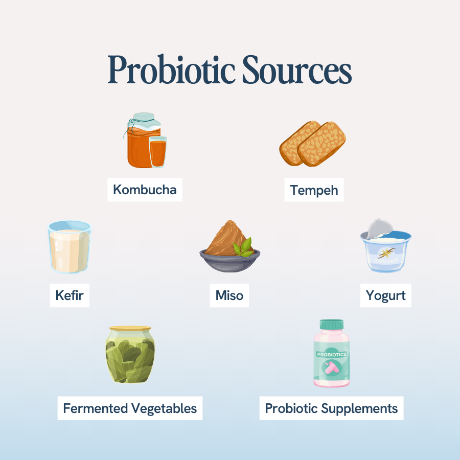 An image with the title ‘Probiotic Sources’ shows various illustrations of foods and supplements that are sources of probiotics. The listed sources include: kombucha, tempeh, kefir, miso, yogurt, fermented vegetables, and probiotic supplements.