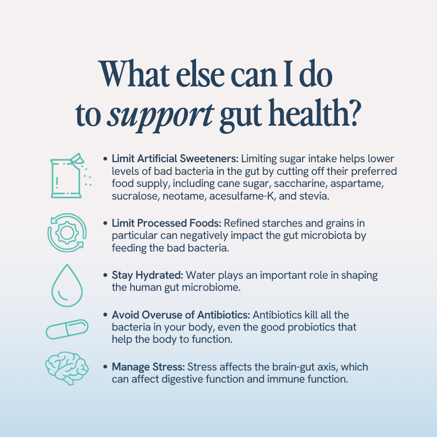 An image with the title ‘What else can I do to support gut health?’ lists several tips and includes corresponding icons. The tips include:
Limit Artificial Sweeteners: Reducing sugar intake helps lower bad bacteria levels in the gut by cutting off their preferred food supply, including cane sugar, saccharine, aspartame, sucralose, neotame, acesulfame-K, and stevia.
Limit Processed Foods: Refined starches and grains can negatively impact the gut microbiota by feeding bad bacteria.
Stay Hydrated: Water plays an important role in shaping the human gut microbiome.
Avoid Overuse of Antibiotics: Antibiotics kill all bacteria in your body, including the good probiotics that help the body function.
Manage Stress: Stress affects the brain-gut axis, impacting digestive function and immune function