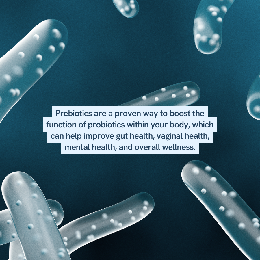 An image shows a close-up view of bacteria with text explaining that prebiotics are a proven way to boost the function of probiotics within the body. This can help improve gut health, vaginal health, mental health, and overall wellness.