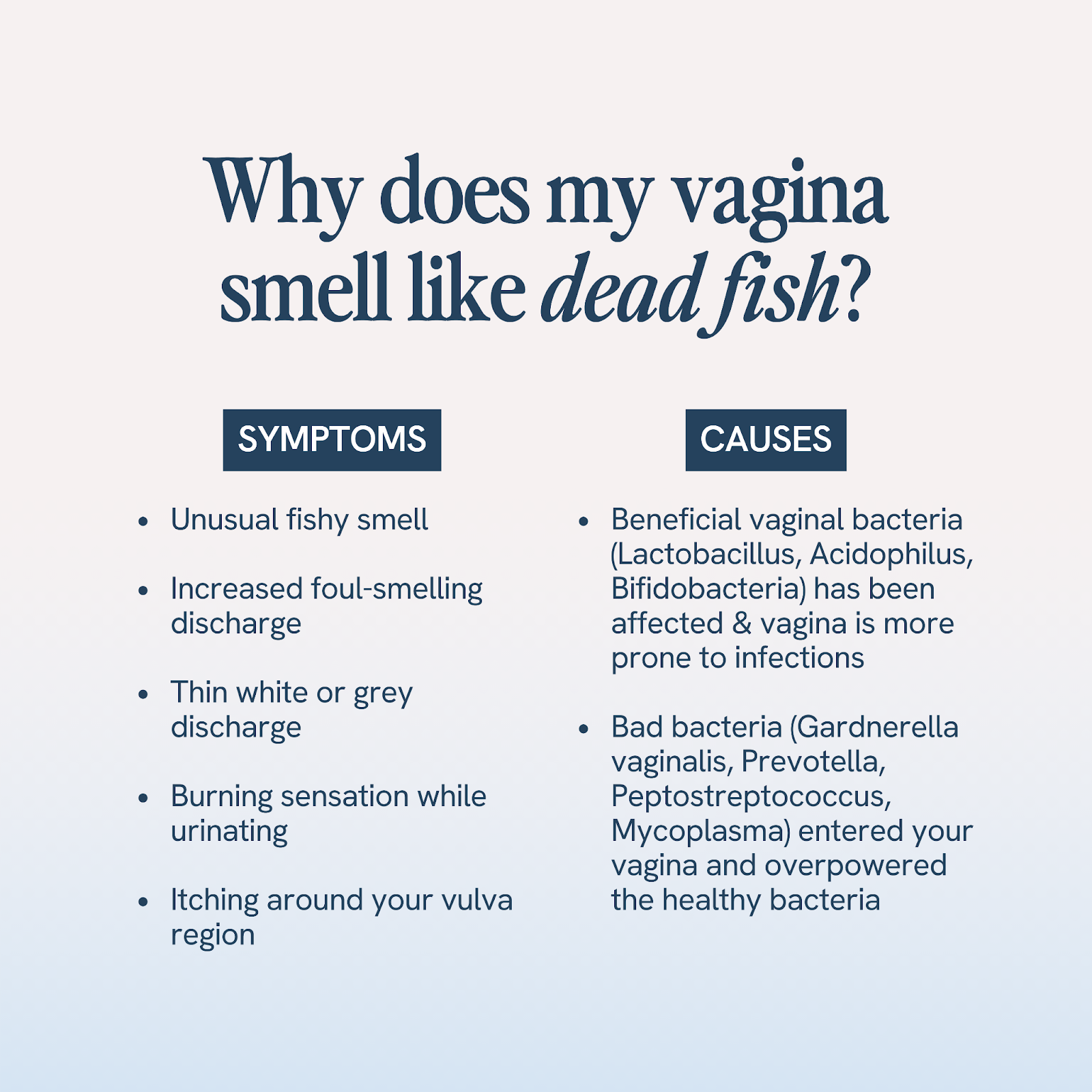 An educational image explaining vaginal odor with a title 'Why does my vagina smell like dead fish?' Highlights symptoms like fishy smell and unusual discharge, and causes like imbalance of beneficial bacteria and harmful bacteria overgrowth. The text is succinct, in two columns for clarity