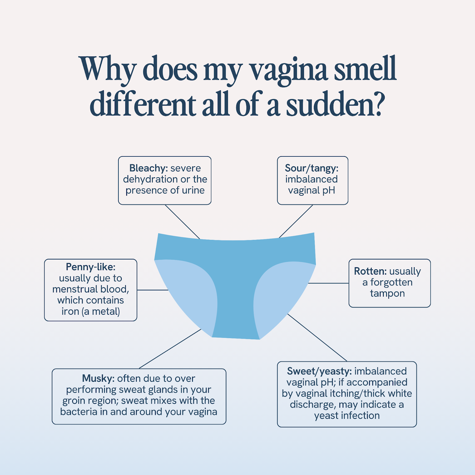 An informative diagram with the question 'Why does my vagina smell different all of a sudden?' Six text boxes with brief explanations surround a central image of blue underwear: 'Bleachy' due to dehydration or urine, 'Sour/tangy' from pH imbalance, 'Rotten' indicating a forgotten tampon, 'Sweet/yeasty' suggesting a yeast infection, 'Musky' from sweat, and 'Penny-like' due to menstrual blood
