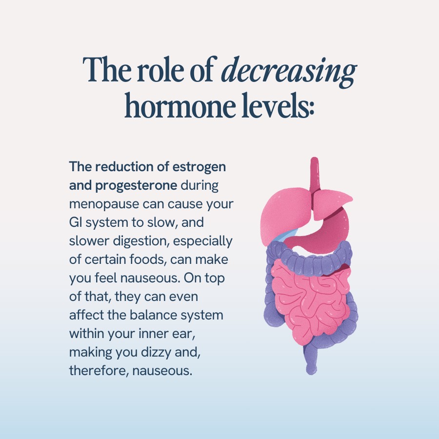 The role of decreasing hormone levels: The reduction of estrogen and progesterone during menopause can cause your GI system to slow, and slower digestion, especially of certain foods, can make you feel nauseous. On top of that, they can even affect the balance system within your inner ear, making you dizzy and, therefore, nauseous.’ The image includes a simplified illustration of the human digestive system.
