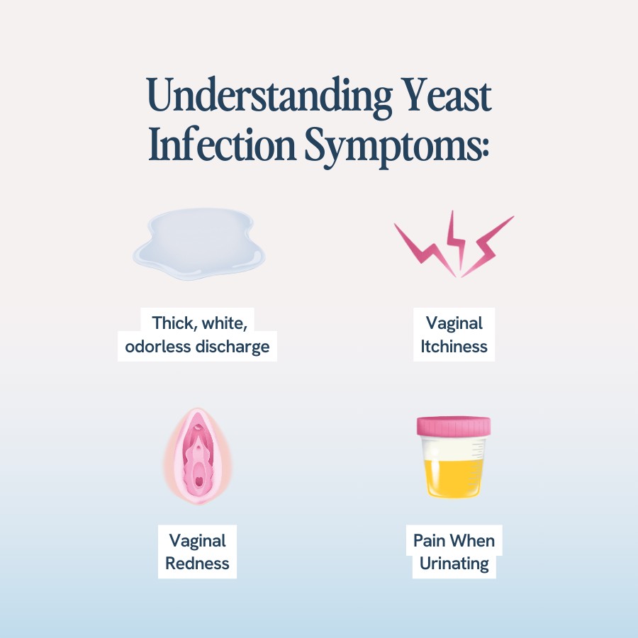 “Text explaining yeast infection symptoms, including thick, white, odorless discharge, vaginal itchiness, vaginal redness, and pain when urinating. Illustrations include a liquid spill, a lightning bolt, a diagram of the vaginal area, and a urine sample cup.”