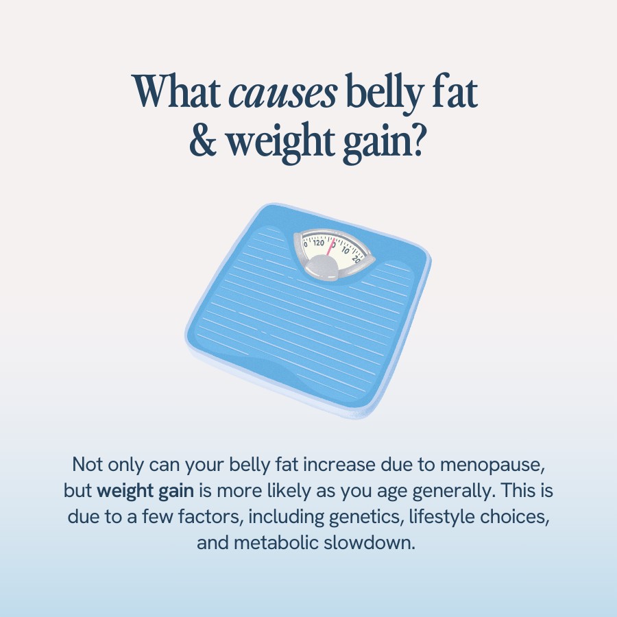 “Text explaining that belly fat and weight gain can increase due to menopause and aging, influenced by genetics, lifestyle choices, and metabolic slowdown. Illustration includes a blue bathroom scale.”