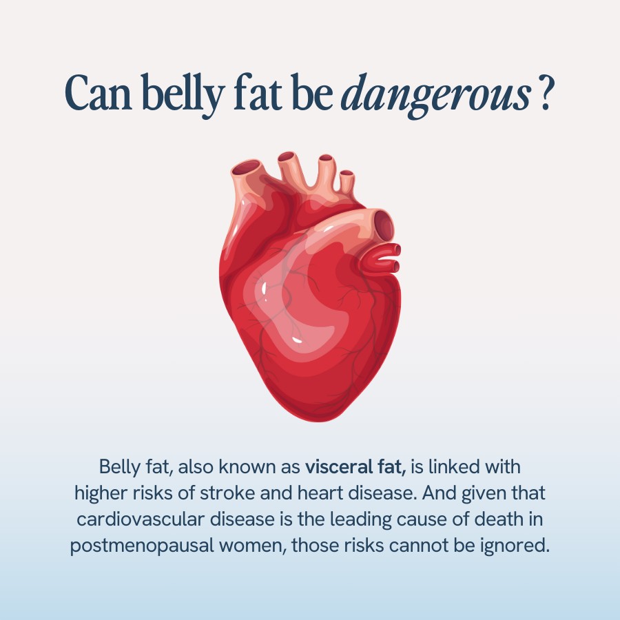 “Text explaining that belly fat, also known as visceral fat, is linked to higher risks of stroke and heart disease, which is the leading cause of death in postmenopausal women. Illustration includes a detailed image of a heart.”